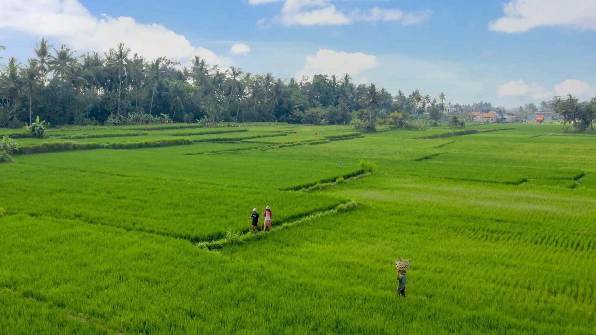 Thewakanda Resort A Pramana Experience Ubud  4*, Ubud (Bali) Indonesia